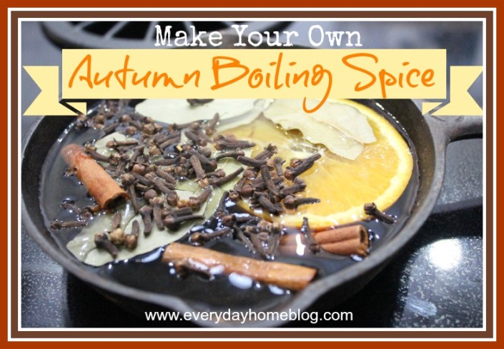 Autumn Boiling Spice by The Everyday Home